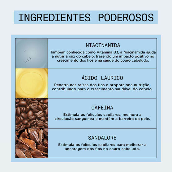 Shampoo Antiqueda Nioxin